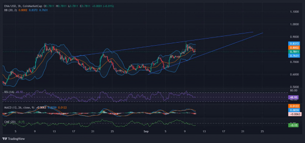 
                    Листинг USDe на Binance вдохновил Артура Хейса на покупку 579,000 ENA                