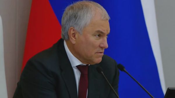 
                    Володин призвал лишить иноагентов возможности получать пенсию в России
                