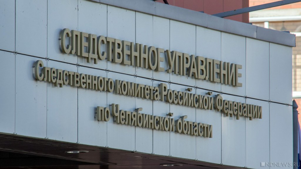 В Челябинской области расследуют дело об избиении ребенка в школе