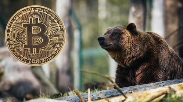 Ходлеры-киты грозятся обрушить курс биткоина до $90,000
Ходлеры-киты грозятся обрушить курс биткоина до $90,000