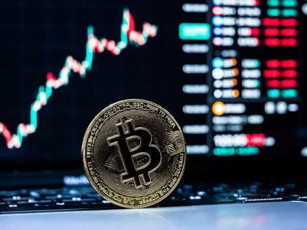 Стоимость биткоина упала до минимума за семь месяцев